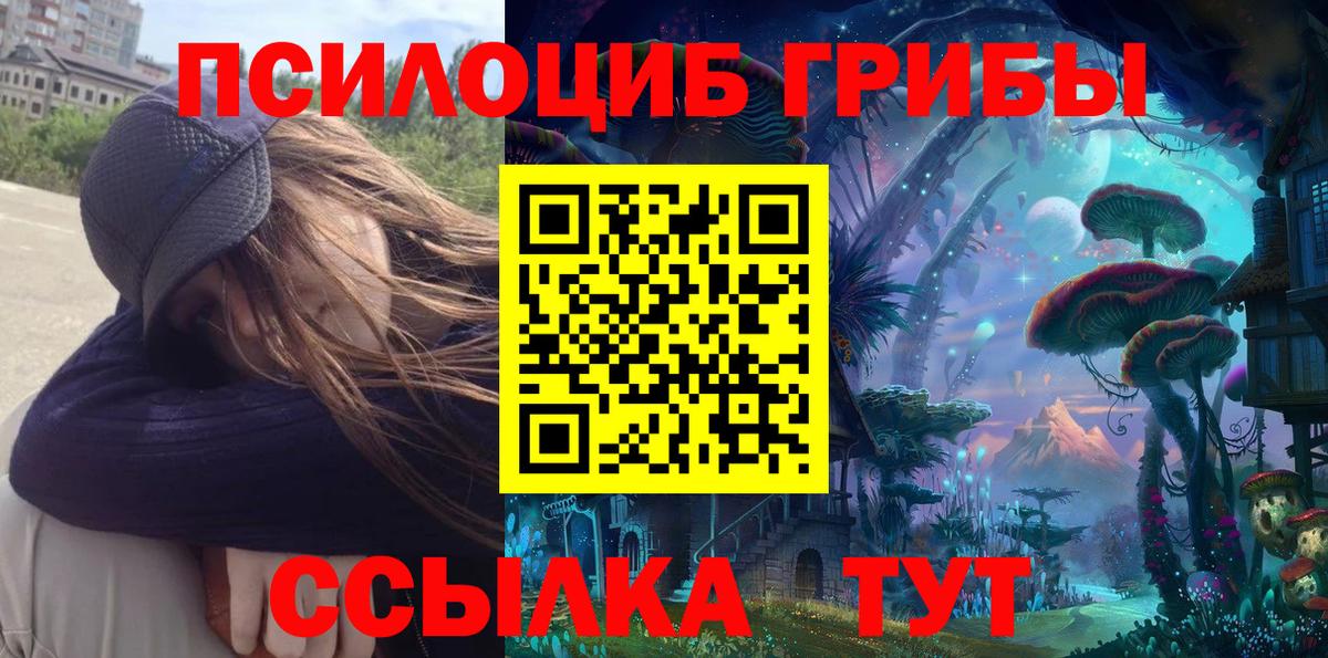 Галлюциногенные грибы Psilocybine cubensis  Галлюциногенные грибы мицелий  Вход с VPN  Горячий Ключ 
