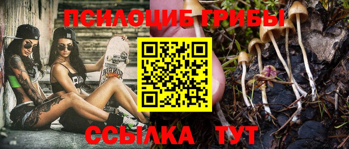Галлюциногенные грибы MAGIC MUSHROOMS Горячий Ключ